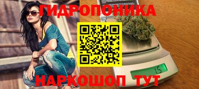 ГАЛЛЮЦИНОГЕННЫЕ ГРИБЫ Гагарин