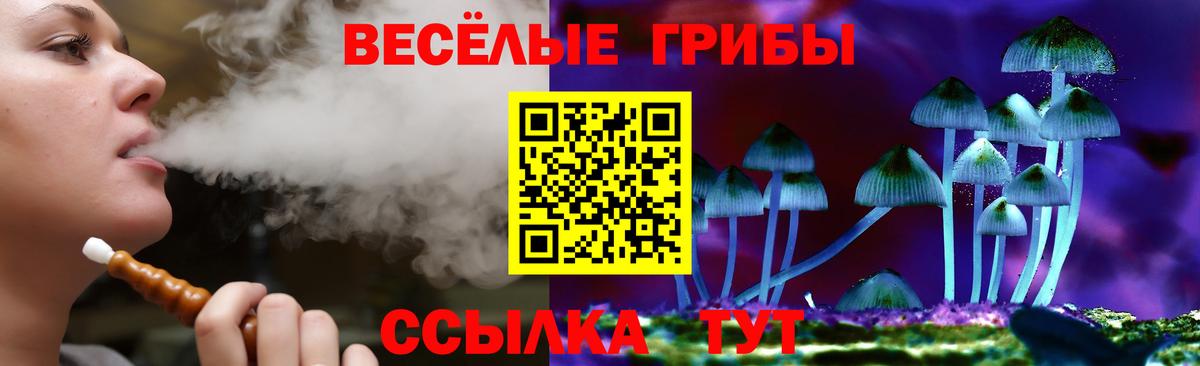 Галлюциногенные грибы мухоморы  Вход с VPN  где можно купить наркотик  Волгодонск 
